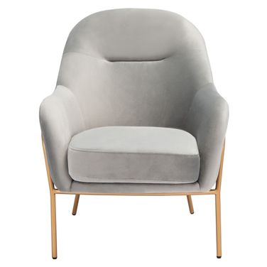 Eleazer Velvet Accent Chair in Grey and Gold
