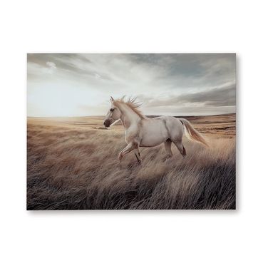 Errolville Wall Art In Multi