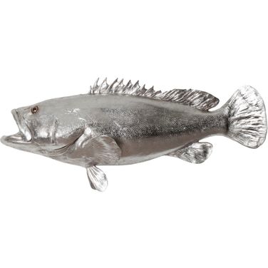 Estuary Cod Fish PH64541