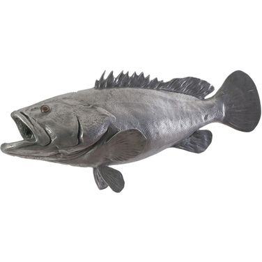 Estuary Cod Fish PH64542