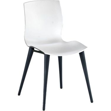 Evalyn White Seat With Anthracite Legs Chair Set Of 2