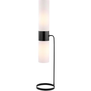 Fierro Floor Lamp in Matte Black