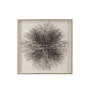 Gracee 32 Inch Wall Art in Hand-Painted Sea Fan with Square Shadow Box In White and Silver