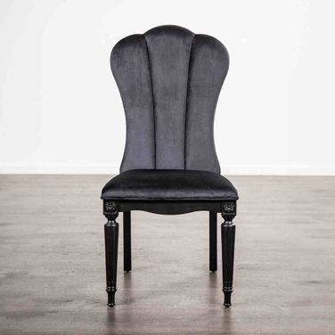 Hannoria Side Chair Set of 2 In Black