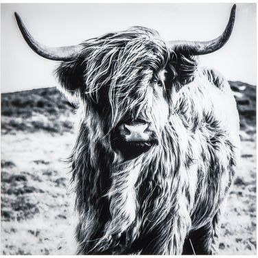 Highland Wall Art In Black