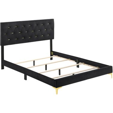 Kendall Tufted Panel California King Bed Black and Gold