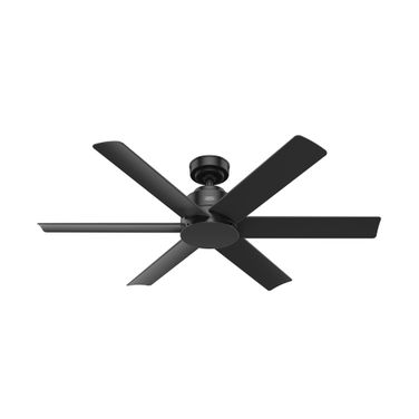Kennicott 52 Inch Damp Rated Ceiling Fan and Wall Control In Matte Black