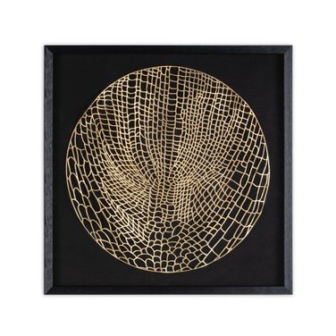 Laced Moon I 24 Inch Shadow Box In Black and Gold