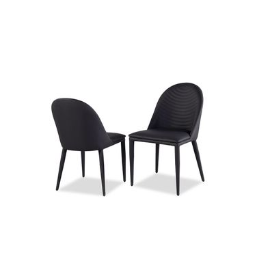 Lenvik Side Chair Set of 2 In Black and White