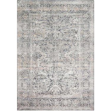 Lucia Steel/Ivory 4' x 5'7" Rug