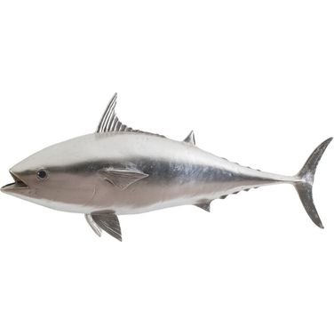 Mackerel Fish PH64549