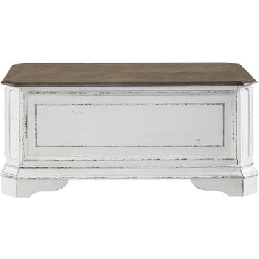 Magnolia Manor Storage Trunk