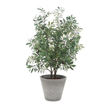 Marisol Plant In Gray and Green