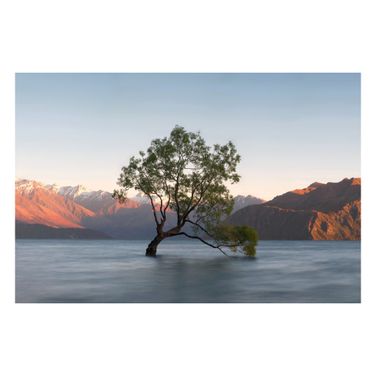Mesmerizing Lonely Tree Frameless Tempered Glass Wall Art In Multi