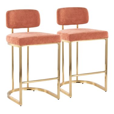 Mid back Demi 26 Inch Fixed Height Counter Stool Set of 2 In Gold and Salmon