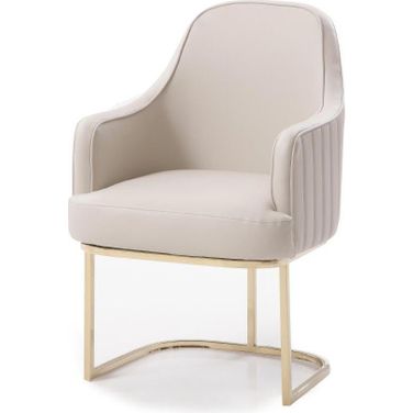 Modrest Tyler Modern Grey And Gold Dining Chair