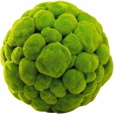 Moss Large Sphere