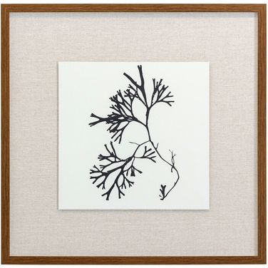 Naturalism III Wall Art In Black