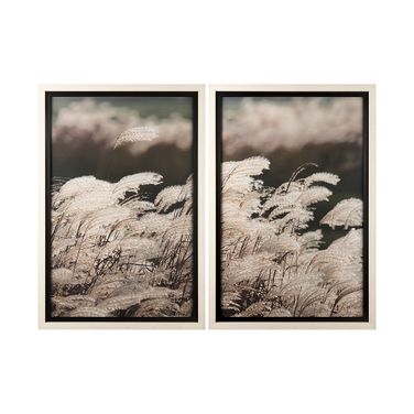 Nature'S Melody Wall Art Set of 2 In Black and Brown