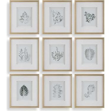 Nature'S Script Framed Botanical Prints Set of 9 In Green and White