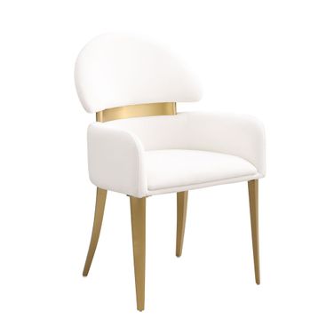 Northam Arm Chair Set of 2 In White and Matte Gold