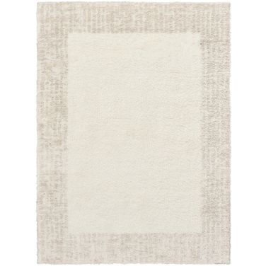 Pacific Shag 5'3" x 7'3" Indoor Rug In Ivory Beige