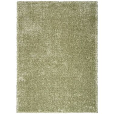 Pacific Shag 7'10" x 9'10" Indoor Rug In Green