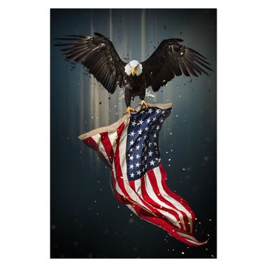 Patriot Frameless Tempered Glass Wall Art In Multi