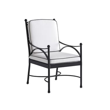 Pavlova Arm Dining Chair In Graphite