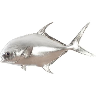 Permit Fish