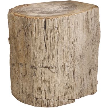 Petrified Wood Side Table