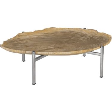 Petrified Wood Tray