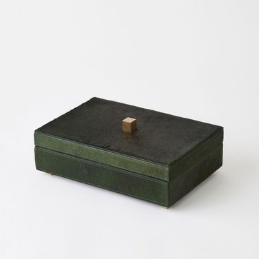 Posh Small Box-Hair-On-Hide In Green