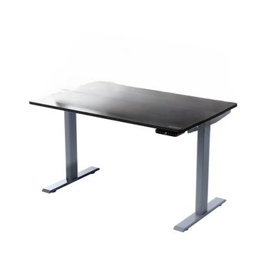 Premier 45 Inch Dual Motor Electric Office Adjustable Standing Desk In Gray