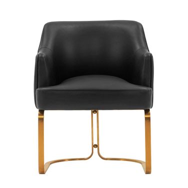 Raya Dining Armchair In Black