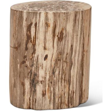 Relique Petrified Wood Stump In Fully Polished And Natural Light