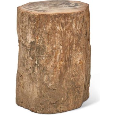 Relique Petrified Wood Stump In Top Polished And Natural Light