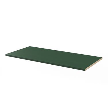 Solid Wood Large Shelf In Green