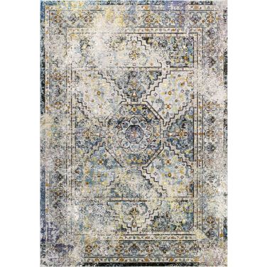 Success Multicolor Jacinda Distressed Vintage Floral Persian Medallion 8x10 Area Rug