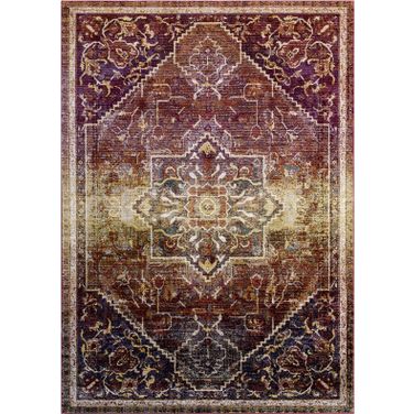 Success Multicolor Kaede Transitional Distressed Vintage Floral Persian Medallion 8x10 Area Rug