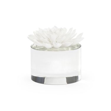 Succulent Sculpture In White and Cream