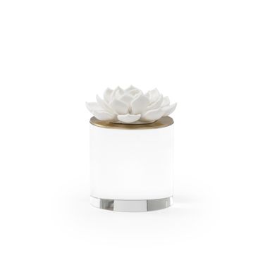 Succulent Sculpture Medium In White and Cream