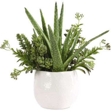 Sundown Succulent Accent Planter In Green and White