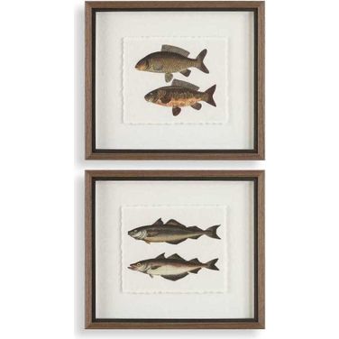 The Catch Framed Fish Prints Set of 2 In Multi
