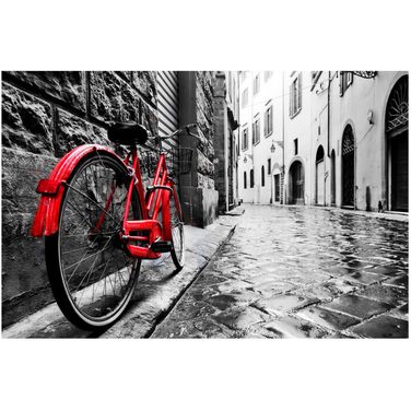 The Red Bike Wall Art In Multicolor
