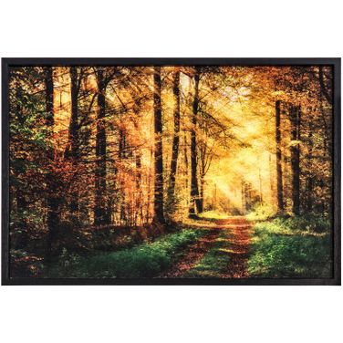 The Road Traveled Wall Art In Multicolor