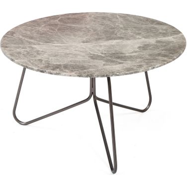 Tracy 24 Inch Coffee Table In Ash Marble Top