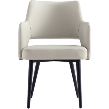 Tremont Dining Arm Chair In Stone