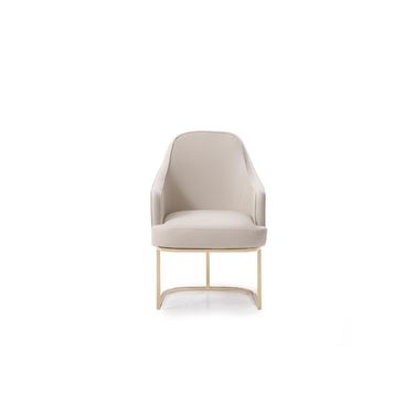 Upholstered Fabric Dining Arm Chair In Gray and Gold