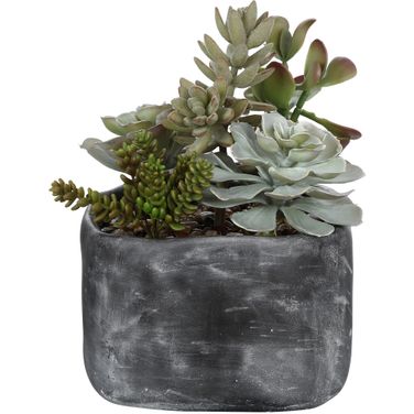 Uttermost Alverio Desert Garden Succulents